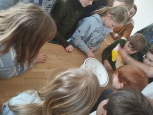 IMG_20260217_111457