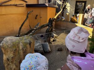 IMG_1534