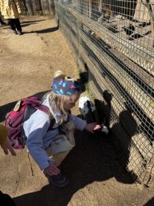 IMG_1620