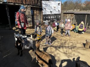 IMG_1626