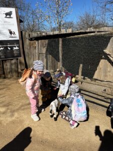 IMG_1630